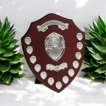 Personalised Wooden Perpetual Annual Shield Award/Trophy | Customisable Sports Plaques | Football, Golf Trophies or any Special Awards | Euro Trophies Collection (Silver, 16''/13 Individual Shields)